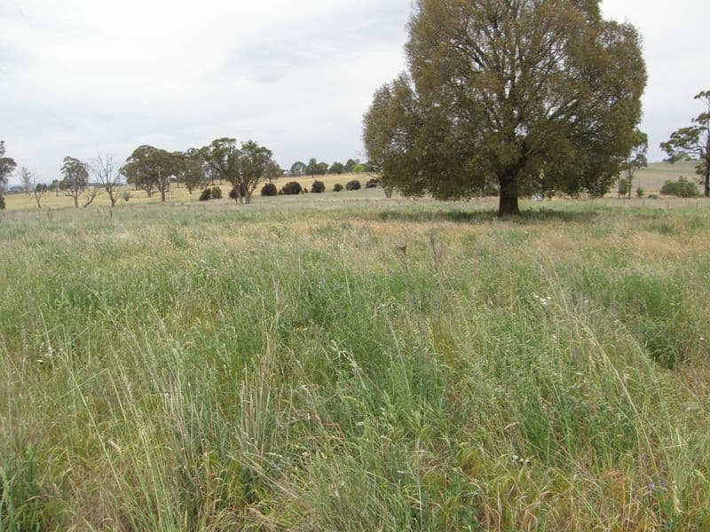 821 Scenic Drive, MANILDRA NSW 2865, Manildra - Image 1