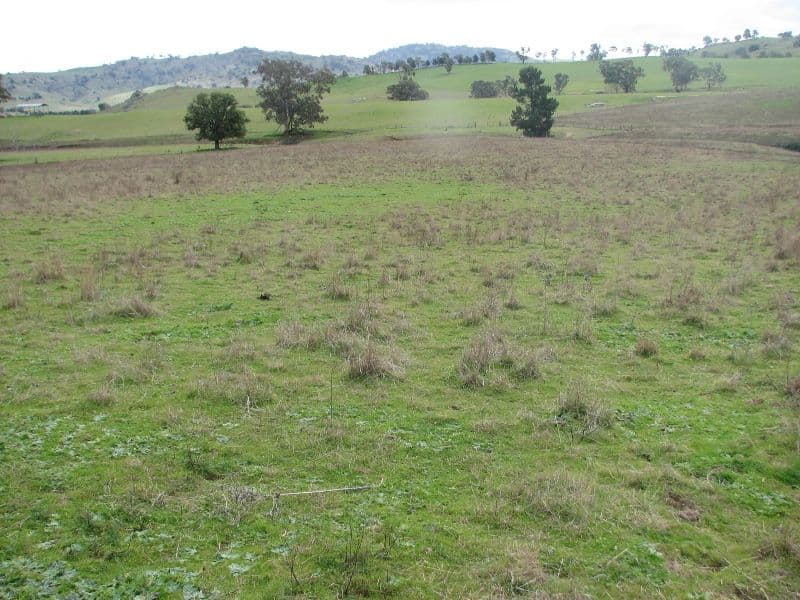 120 Springvale Road, WYANGALA NSW 2808, Wyangala - Thumbnail 4
