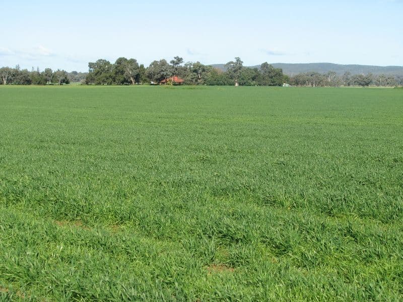 GOOLOOGONG NSW 2805, Gooloogong - Thumbnail 2