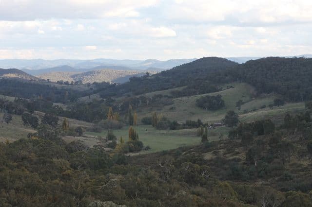 1362 Bald Ridge Road, BURRAGA NSW 2795, Burraga - Thumbnail 6