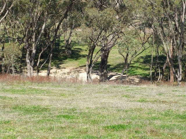 Lot 2 Brittlejack Road, O'CONNELL NSW 2795, O'Connell - Thumbnail 3