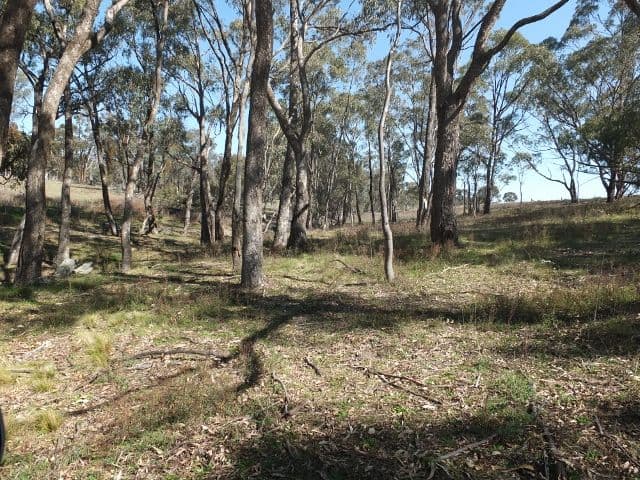 Lot 2 Brittlejack Road, O'CONNELL NSW 2795, O'Connell - Thumbnail 4