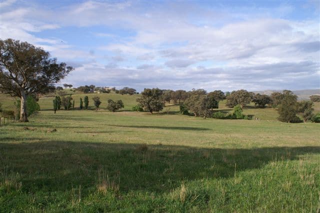 2345 Ophir Road, ORANGE NSW 2800, Orange - Thumbnail 4