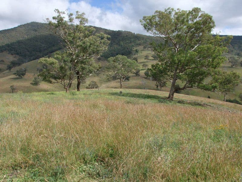 Lot 7 Palmers Oakey Road, Lithgow NSW 2790, Lithgow - Image 1