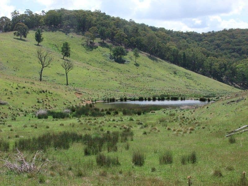 Lot 7 Palmers Oakey Road, Lithgow NSW 2790, Lithgow - Thumbnail 4
