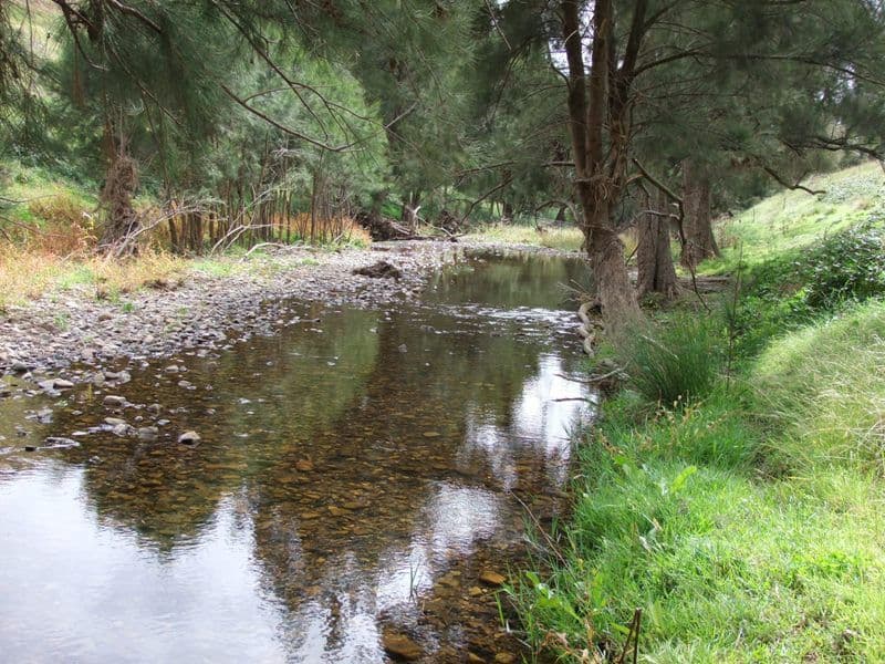 Lot 7 Palmers Oakey Road, Lithgow NSW 2790, Lithgow - Thumbnail 2