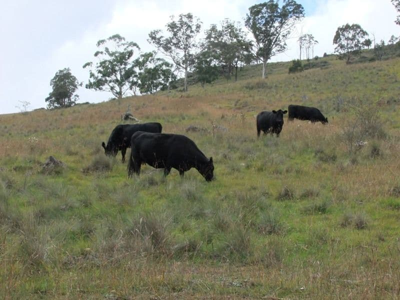 Lot 7 Palmers Oakey Road, Lithgow NSW 2790, Lithgow - Thumbnail 3