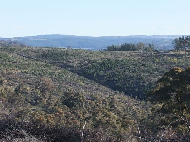 1327 Swallows Nest Road, OBERON NSW 2787, Oberon - Thumbnail 3