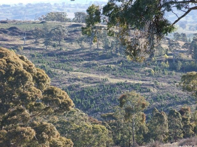 1327 Swallows Nest Road, OBERON NSW 2787, Oberon - Thumbnail 4
