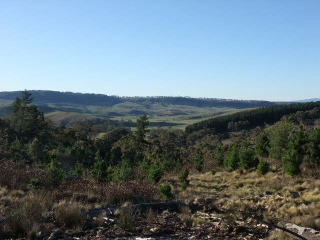 1327 Swallows Nest Road, OBERON NSW 2787, Oberon - Thumbnail 5
