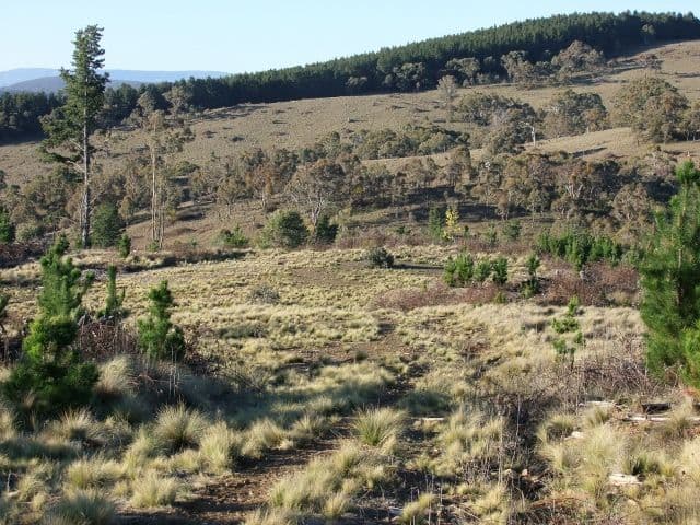 1327 Swallows Nest Road, OBERON NSW 2787, Oberon - Image 1