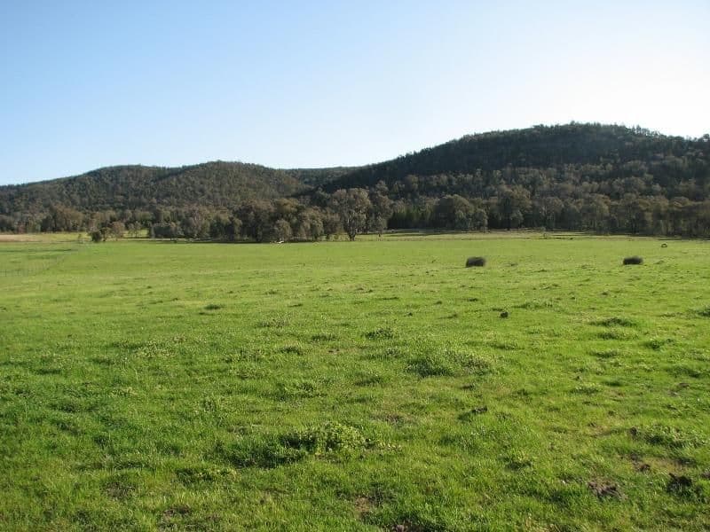 121 C Moss Road, COWRA NSW 2794, Cowra - Image 1
