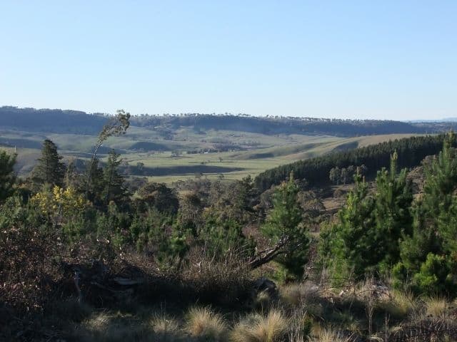 1327 Swallows Nest Road, OBERON NSW 2787, Oberon - Thumbnail 7