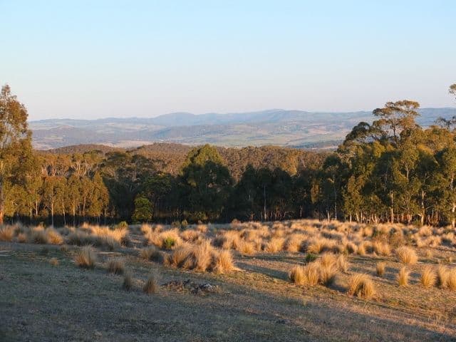 320 Molybdonite Road, YETHOLME NSW 2795, Yetholme - Thumbnail 2
