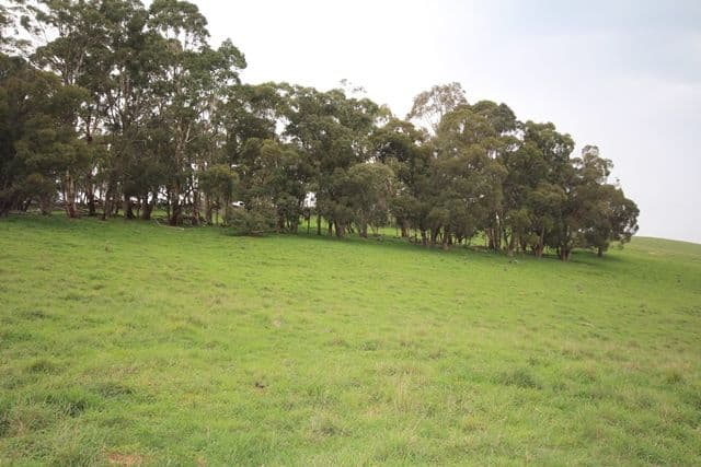 Lot 1 519 Nunans Hill Road, OBERON NSW 2787, Oberon - Thumbnail 3