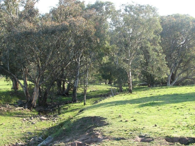 121 C Moss Road, COWRA NSW 2794, Cowra - Thumbnail 2