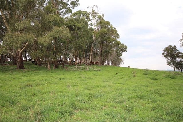 Lot 1 519 Nunans Hill Road, OBERON NSW 2787, Oberon - Thumbnail 5