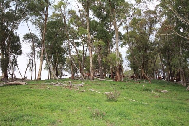 Lot 1 519 Nunans Hill Road, OBERON NSW 2787, Oberon - Thumbnail 6