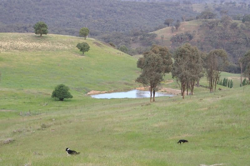 2345 Ophir Road, ORANGE NSW 2800, Orange - Image 1