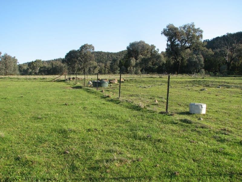 121 C Moss Road, COWRA NSW 2794, Cowra - Thumbnail 3