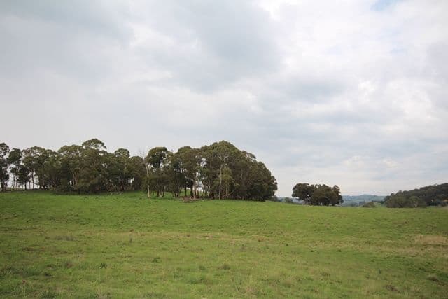 Lot 1 519 Nunans Hill Road, OBERON NSW 2787, Oberon - Thumbnail 7