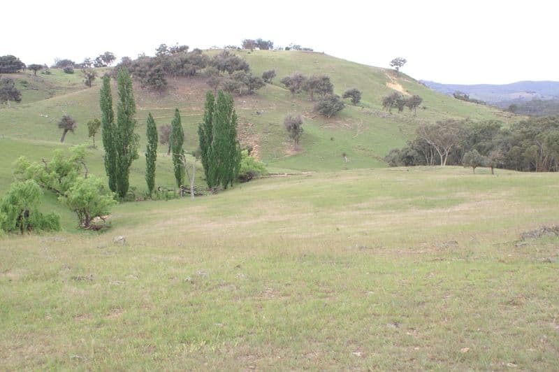 2345 Ophir Road, ORANGE NSW 2800, Orange - Thumbnail 2