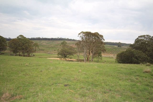 Lot 1 519 Nunans Hill Road, OBERON NSW 2787, Oberon - Thumbnail 8