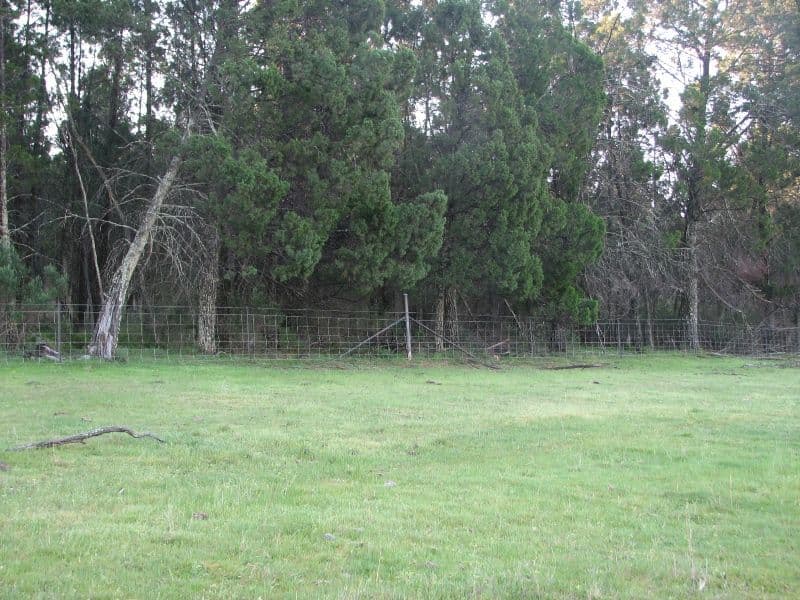 121 C Moss Road, COWRA NSW 2794, Cowra - Thumbnail 8
