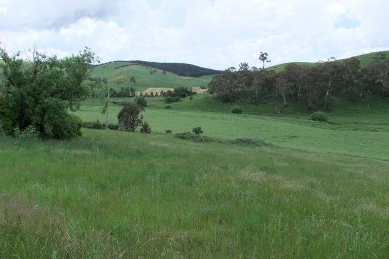0 Gilmandyke Road, Bathurst NSW 2795, Bathurst - Thumbnail 2