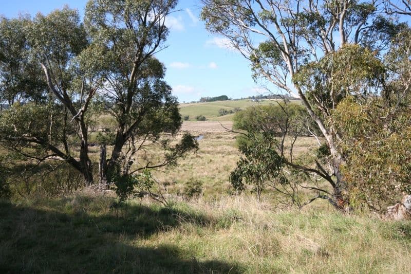200 Beattie Road, OBERON NSW 2787, Oberon - Thumbnail 7