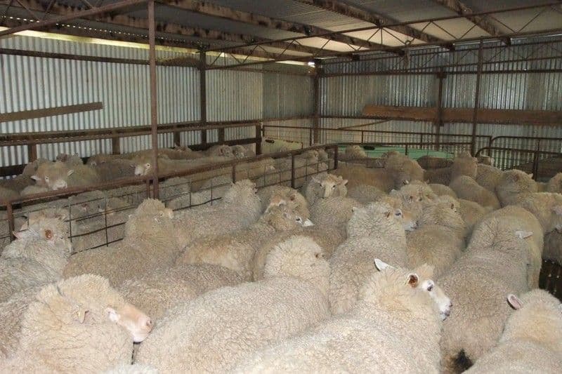 0 Gilmandyke Road, Bathurst NSW 2795, Bathurst - Thumbnail 6