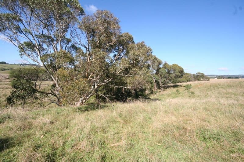 200 Beattie Road, OBERON NSW 2787, Oberon - Thumbnail 8