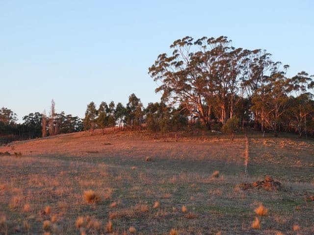 320 Molybdonite Road, YETHOLME NSW 2795, Yetholme - Thumbnail 7