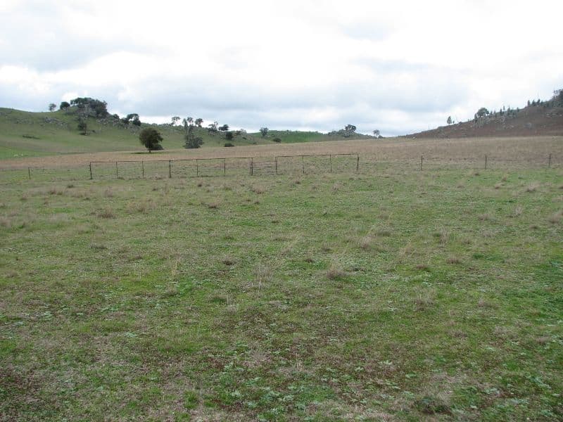 120 Springvale Road, WYANGALA NSW 2808, Wyangala - Thumbnail 3