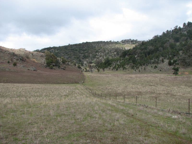 120 Springvale Road, WYANGALA NSW 2808, Wyangala - Thumbnail 7