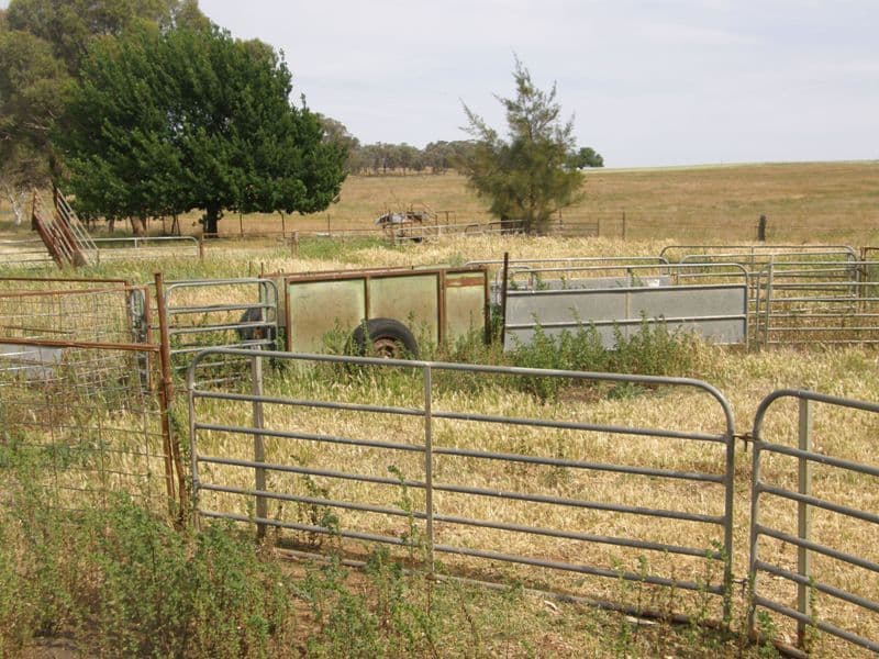821 Scenic Drive, MANILDRA NSW 2865, Manildra - Thumbnail 5