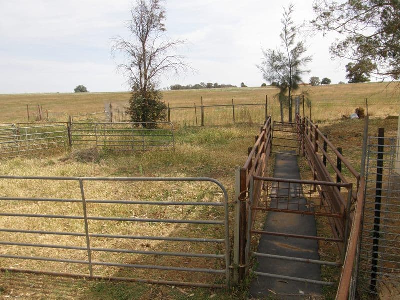 821 Scenic Drive, MANILDRA NSW 2865, Manildra - Thumbnail 6