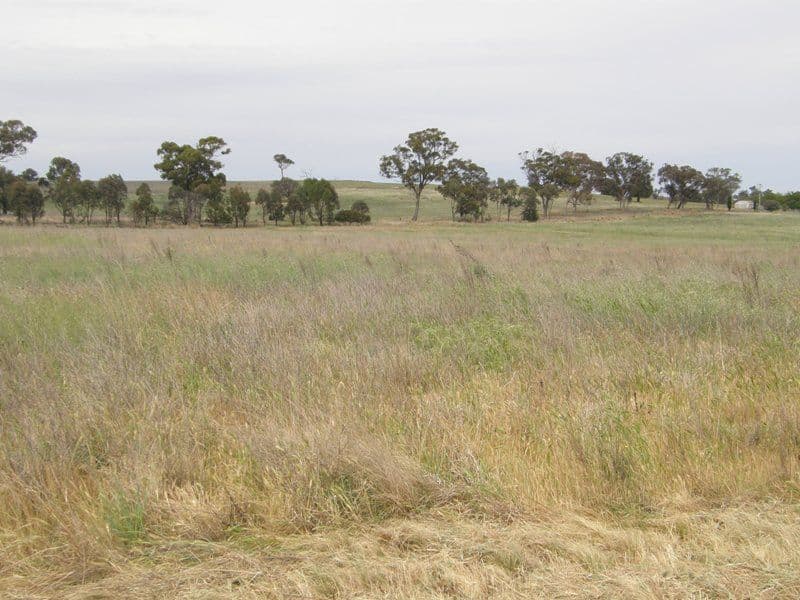821 Scenic Drive, MANILDRA NSW 2865, Manildra - Thumbnail 7