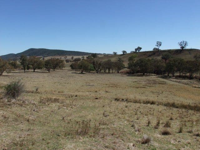 ORANGE NSW 2800, Orange - Thumbnail 2
