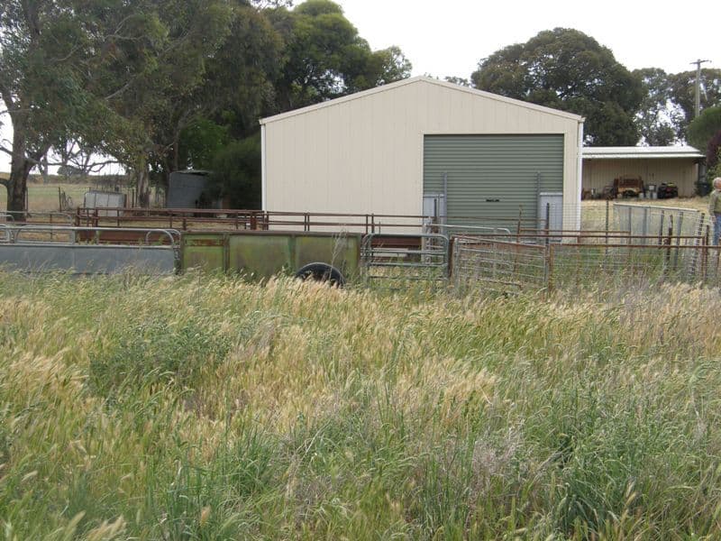 821 Scenic Drive, MANILDRA NSW 2865, Manildra - Thumbnail 3
