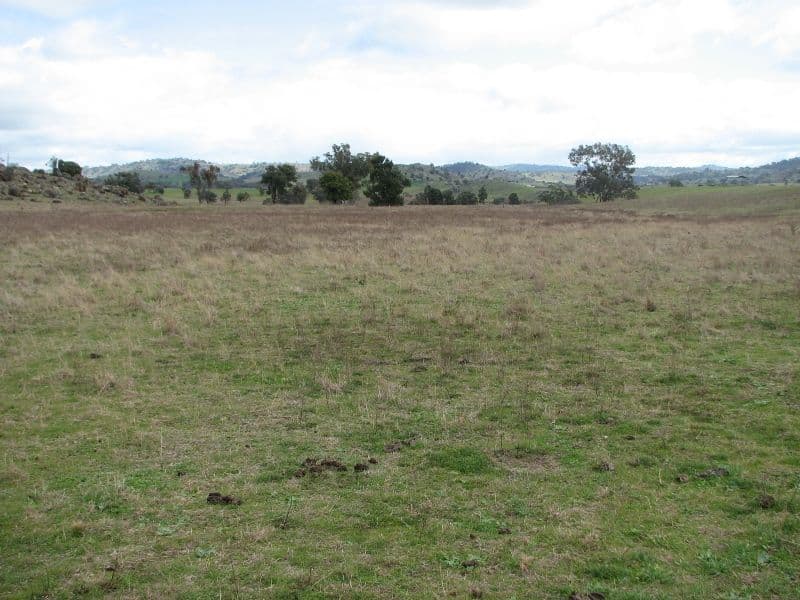 120 Springvale Road, WYANGALA NSW 2808, Wyangala - Thumbnail 6