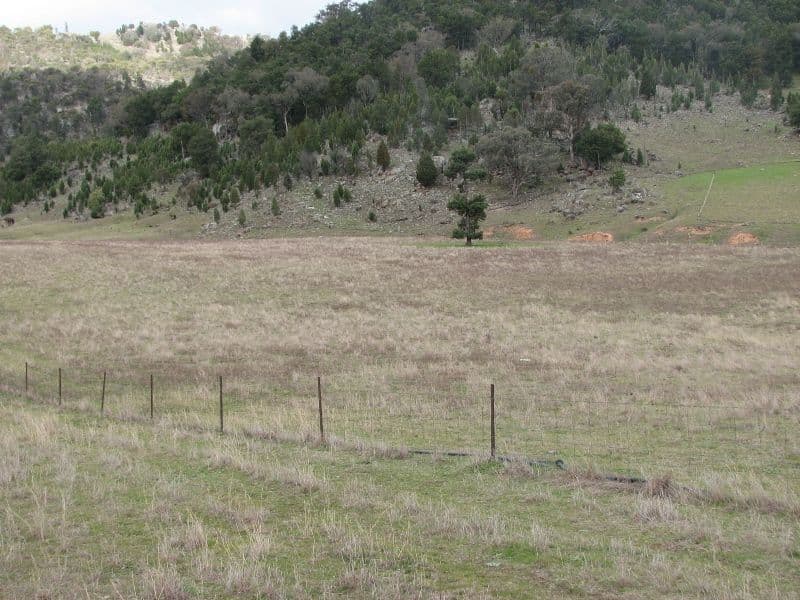 120 Springvale Road, WYANGALA NSW 2808, Wyangala - Thumbnail 5