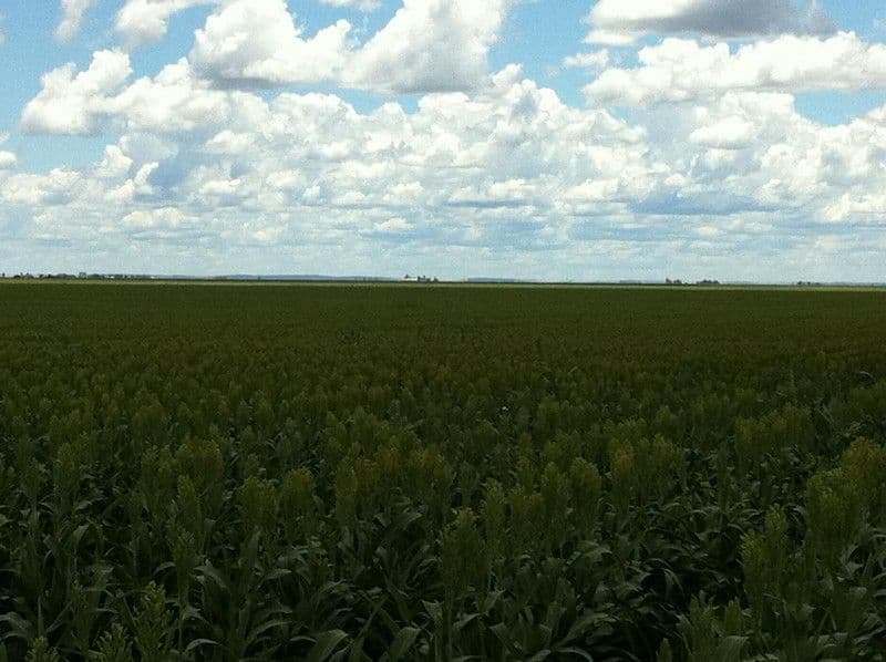 0 F Kents Road, Bongeen QLD 4356, Bongeen - Thumbnail 6