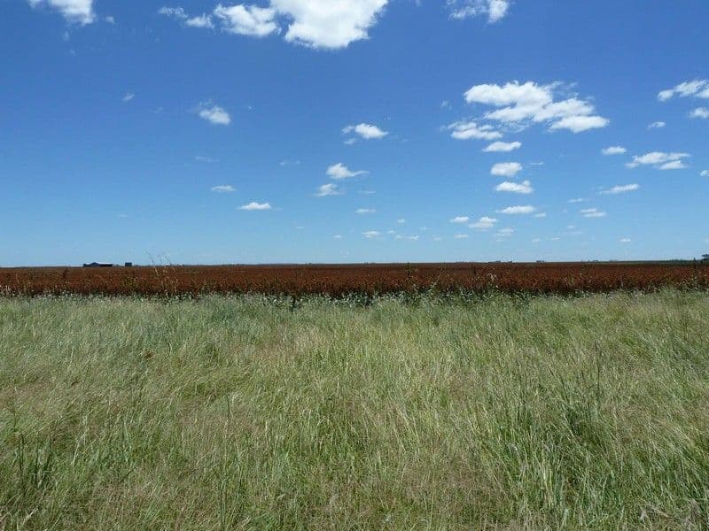 0 F Kents Road, Bongeen QLD 4356, Bongeen - Thumbnail 4