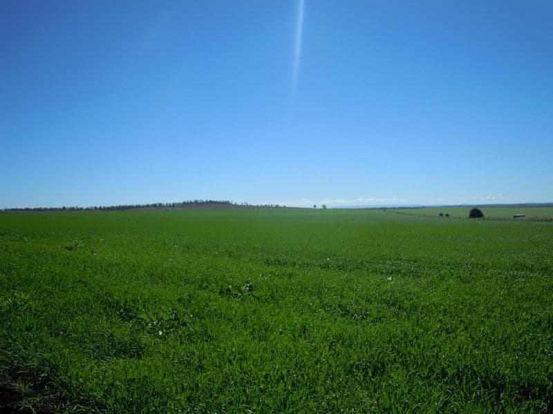 0 Matthews Road, JONDARYAN QLD 4403, Jondaryan - Image 1