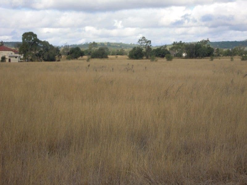 MOUNT TYSON QLD 4356, Mount Tyson - Thumbnail 3