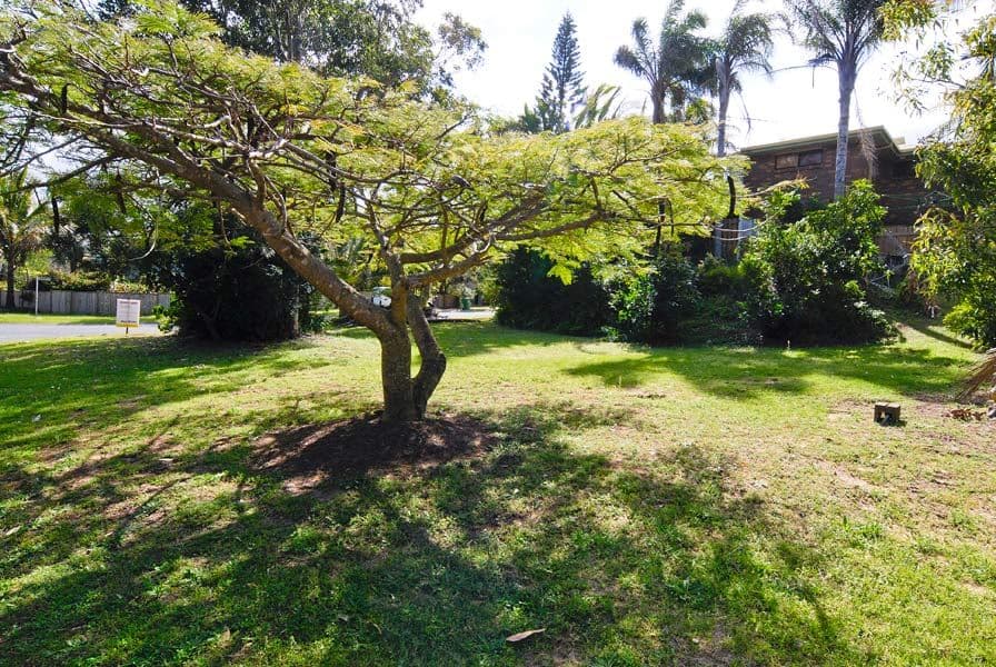 123 Tramican Street, POINT LOOKOUT QLD 4183, Point Lookout - Thumbnail 2