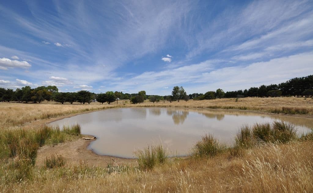 75 Merrifield Road, CLUNES VIC 3370, Clunes - Thumbnail 7