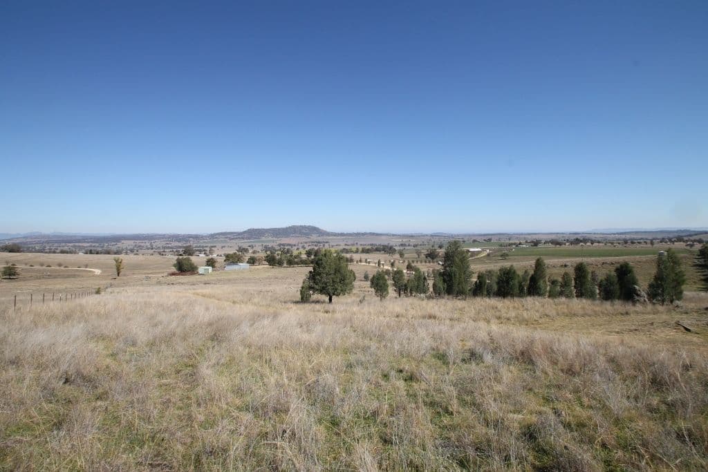 116 Callaghans Lane, QUIRINDI NSW 2343, Quirindi - Thumbnail 2