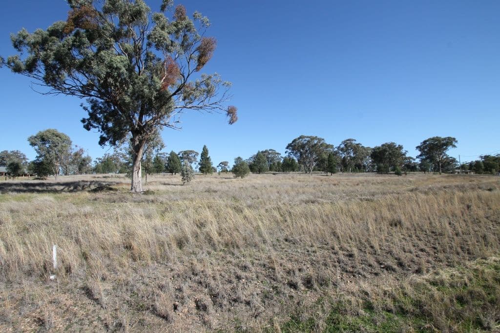 4 Greentrees Drive, QUIRINDI NSW 2343, Quirindi - Image 1